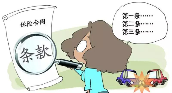 保险合同主要看什么?保险合同怎么看